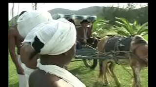 Kaip Elgesys da senzala