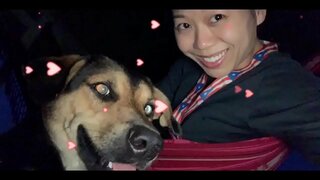 Ɣ�府は敵&amp;amp;れます。 だかない場合には実行中！ 転覆おGOVTS＆ライトのすべての5Gの塔が現れる前に。Sくまでが含まれております。